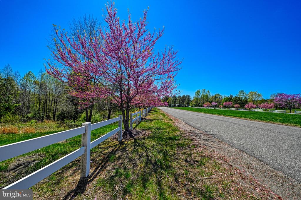 295 HEMLOCK LOOP