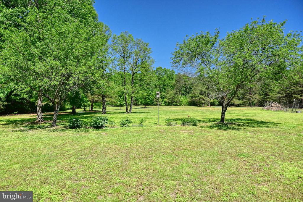 655 BUMPASS ROAD