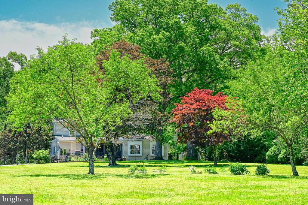 655 BUMPASS ROAD