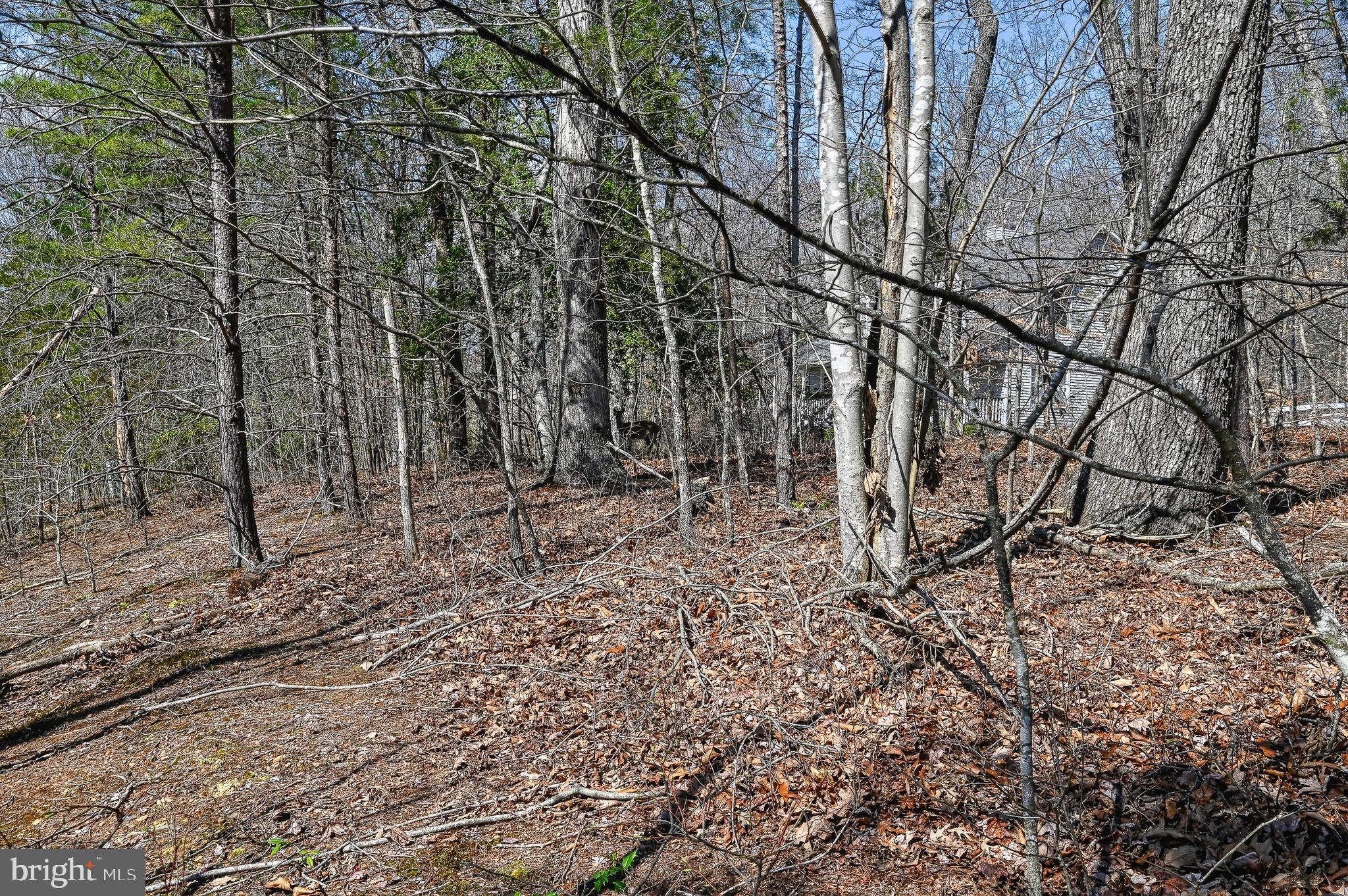 5304 WYNDEMERE CIRCLE