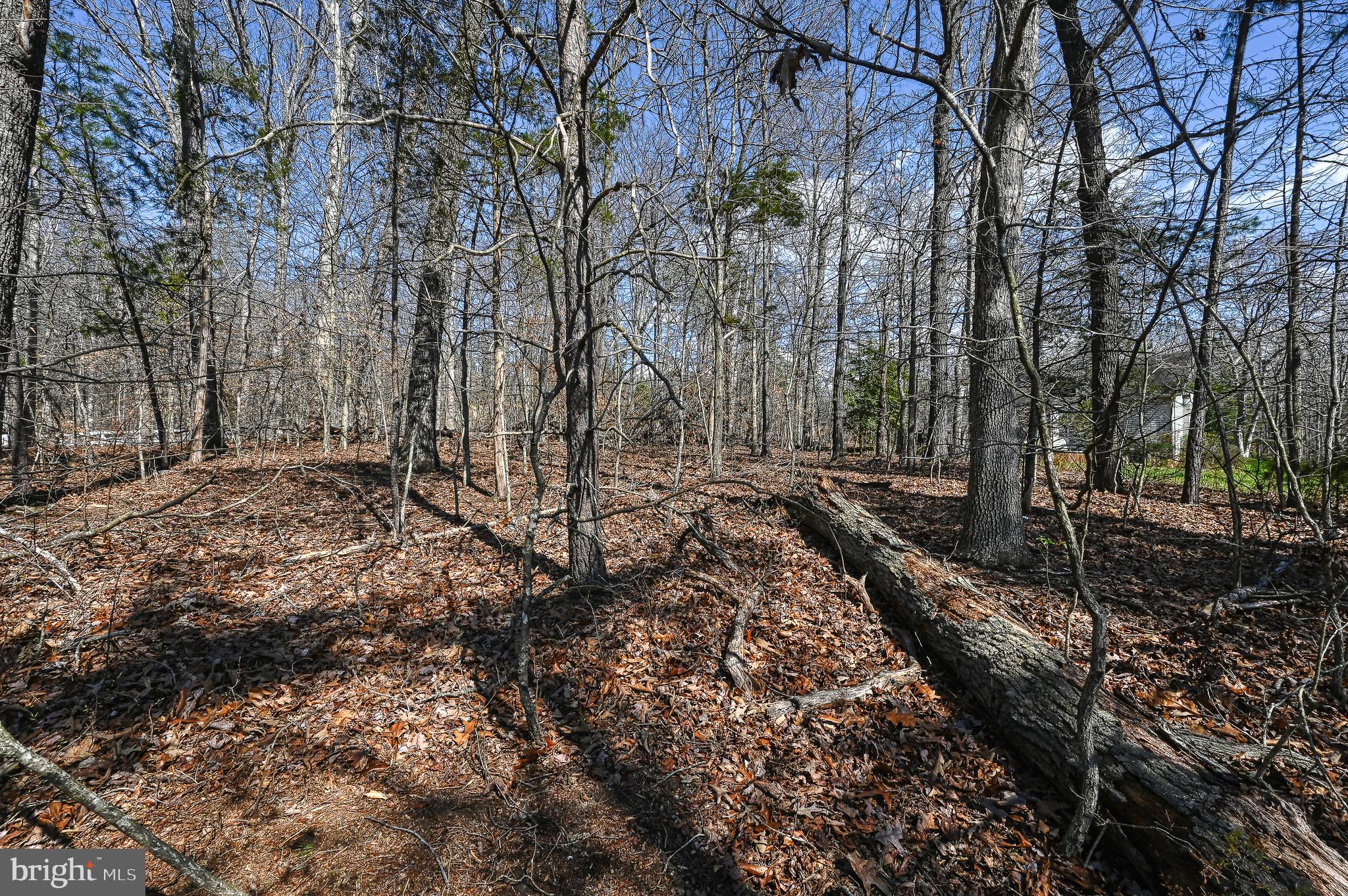 5304 WYNDEMERE CIRCLE