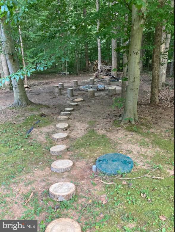 7207 OLD DICKERSONS ROAD