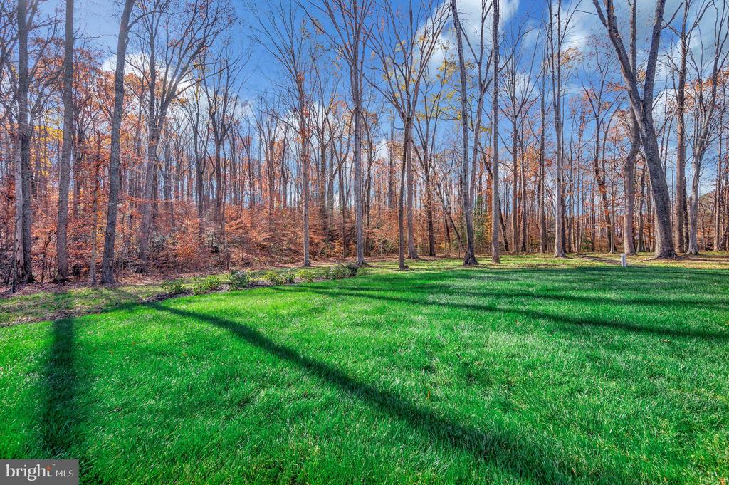 3905 HATTERAS COURT