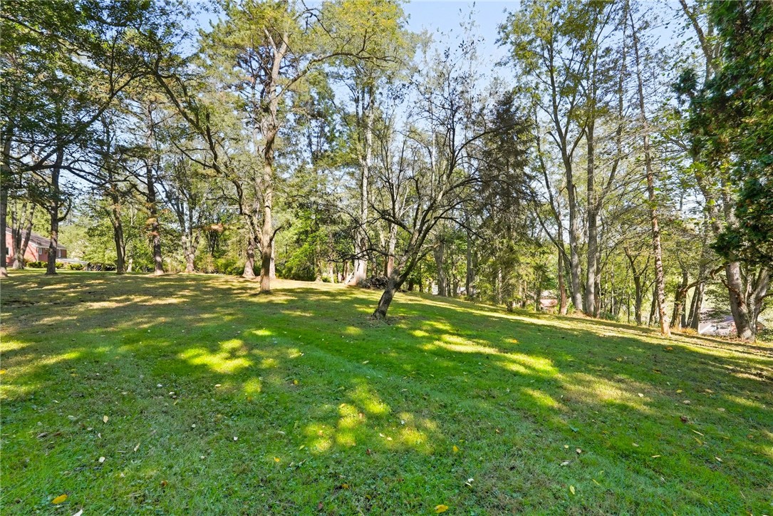 2535 Fife Drive