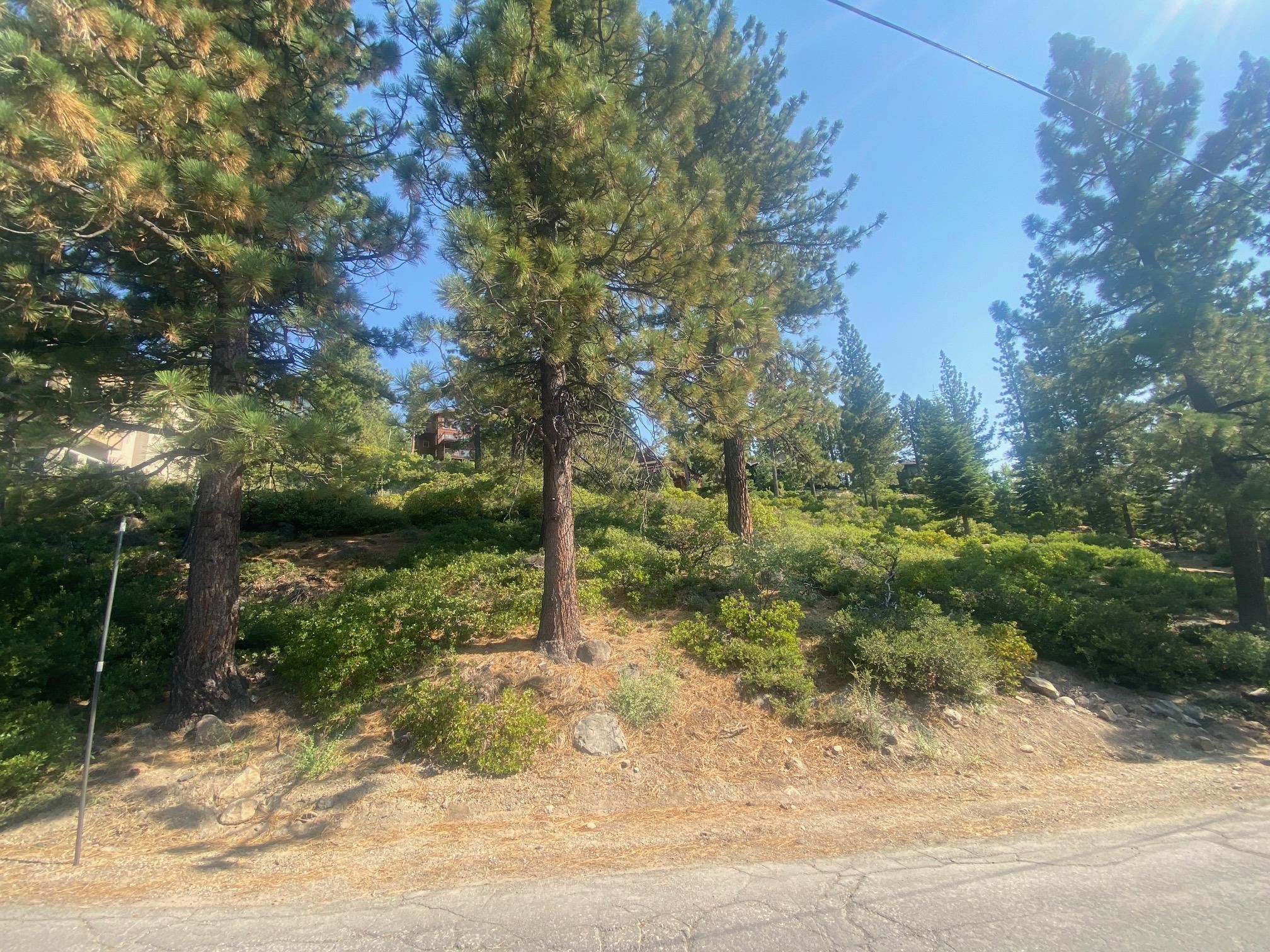 3323 Dardanelles Avenue
