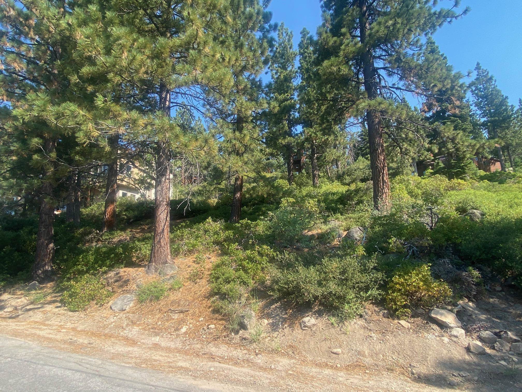 3323 Dardanelles Avenue