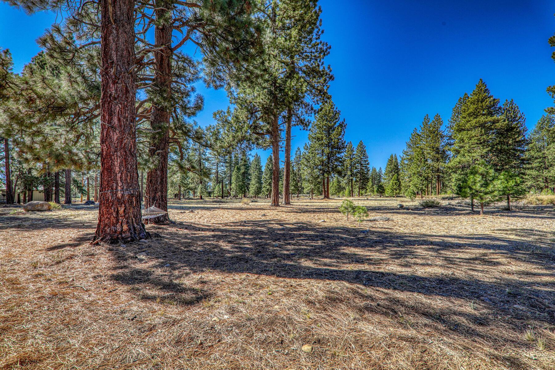 12682 Horizon Drive