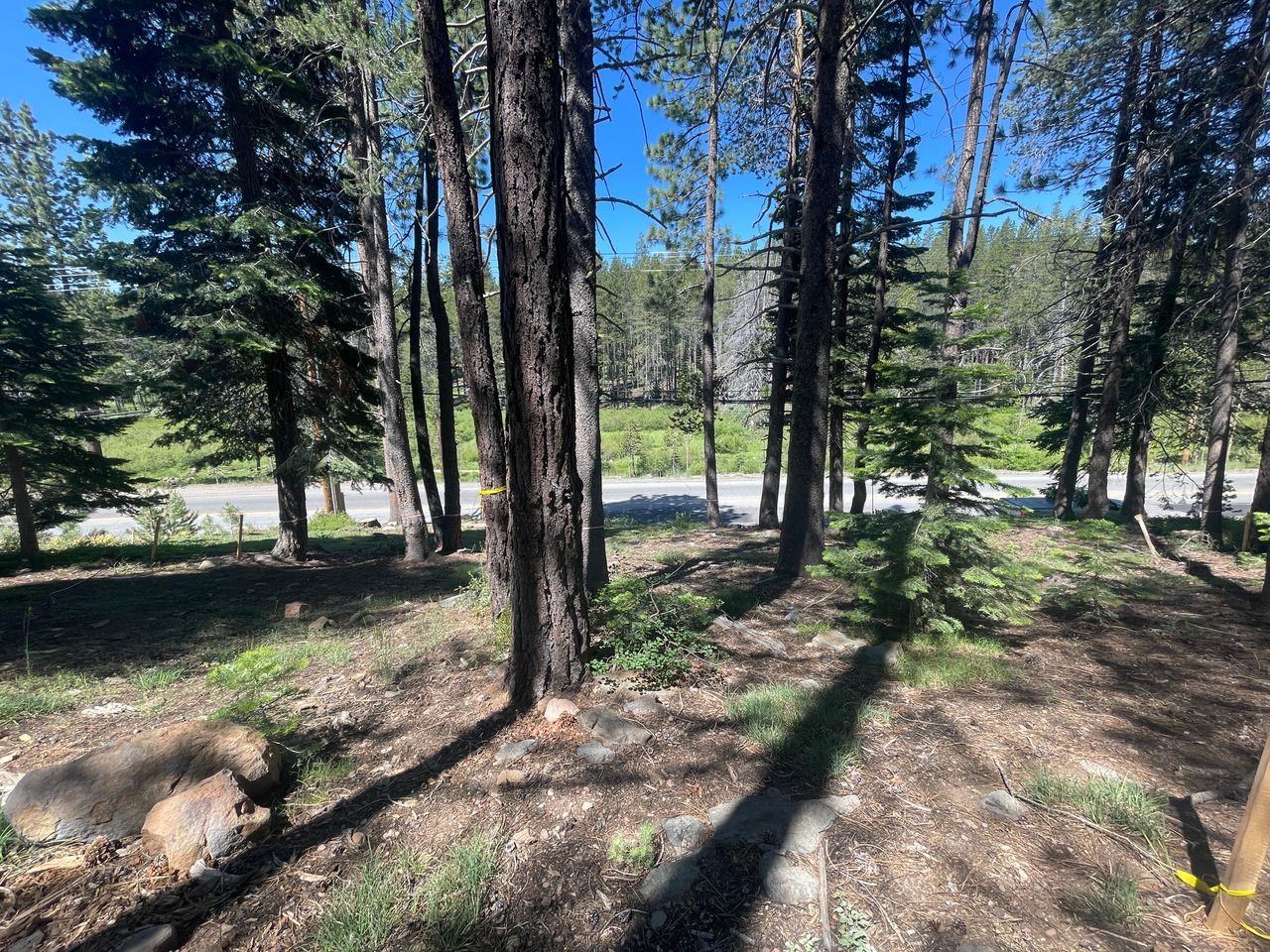 12173 Northwoods Boulevard Unit: 12173 Northwoods Blvd