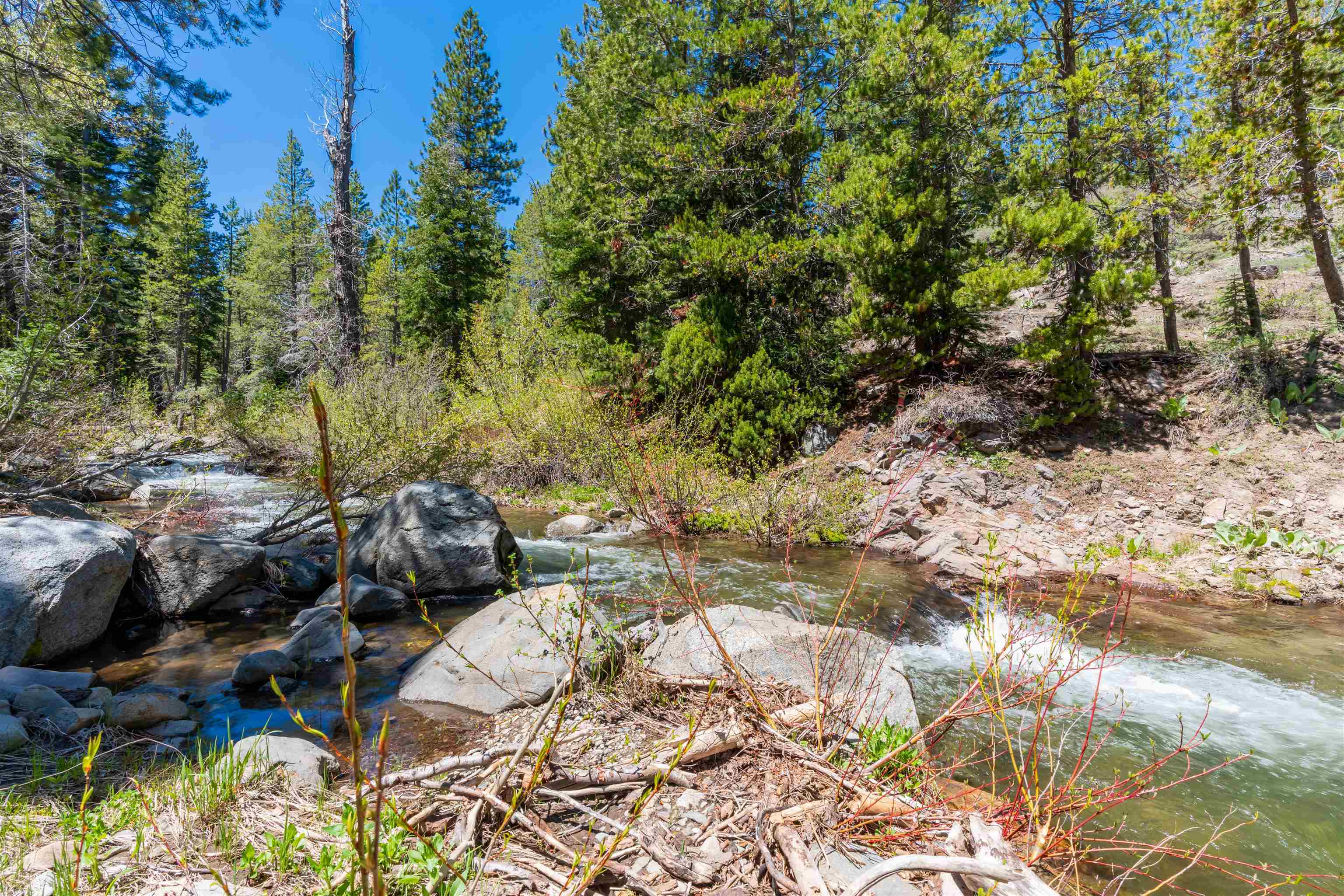 1334 Mineral Springs Trail