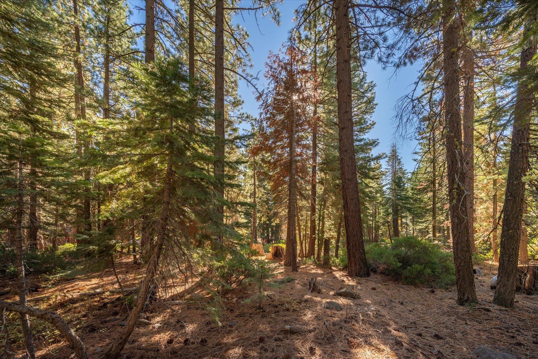 3303 Polaris Road