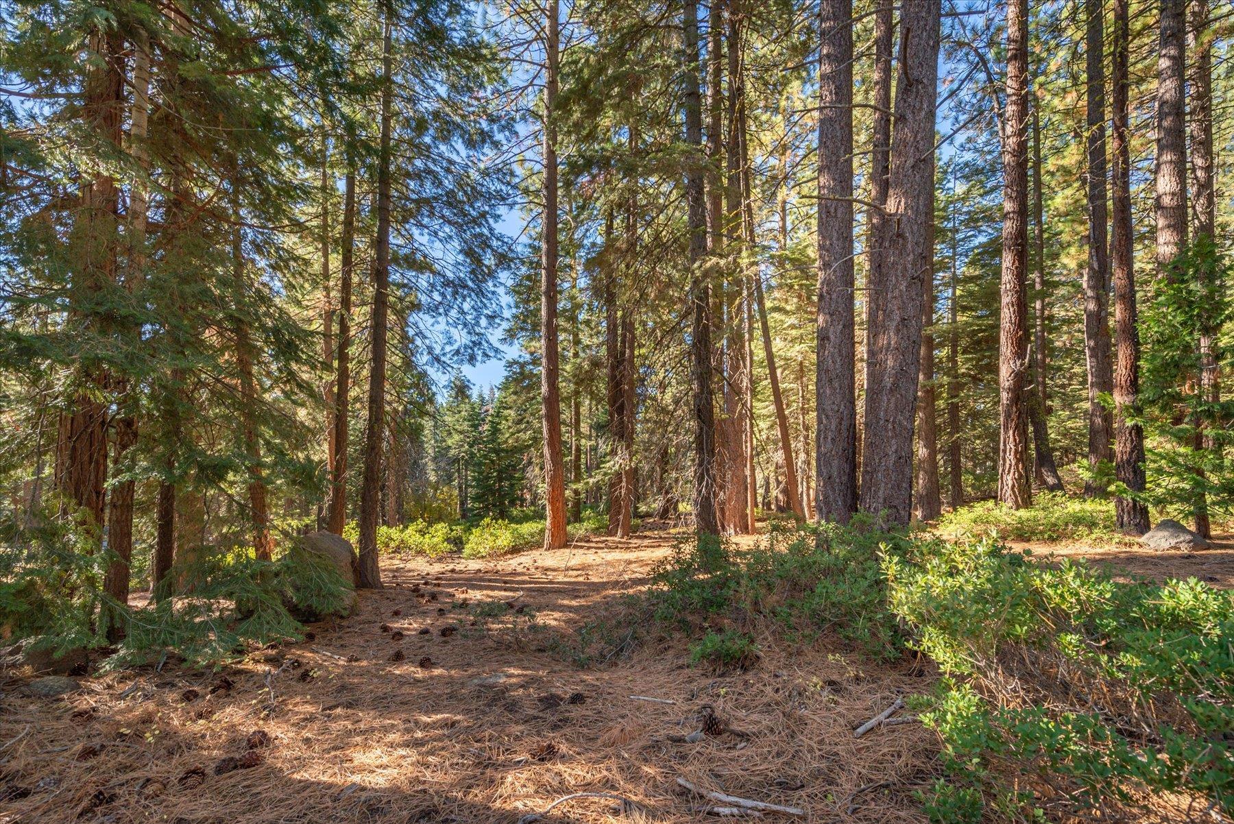 3303 Polaris Road