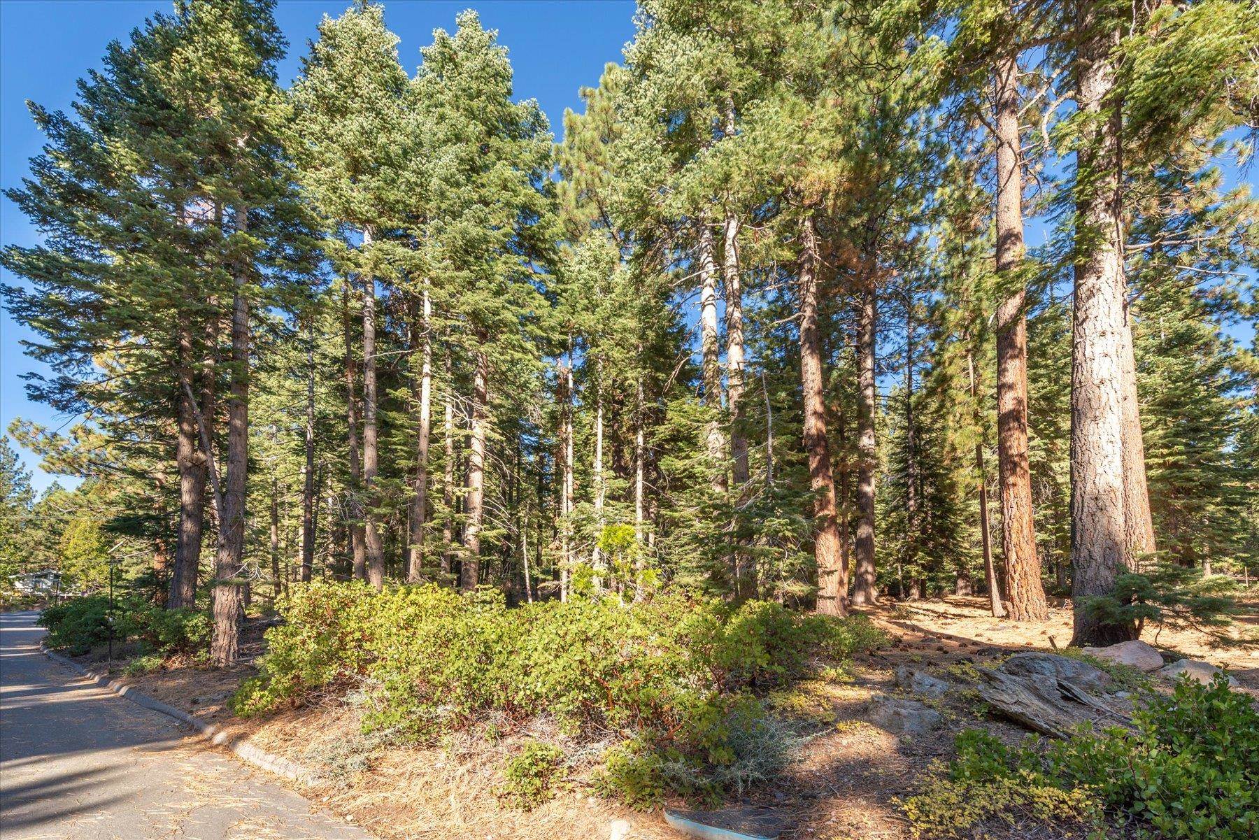 3303 Polaris Road