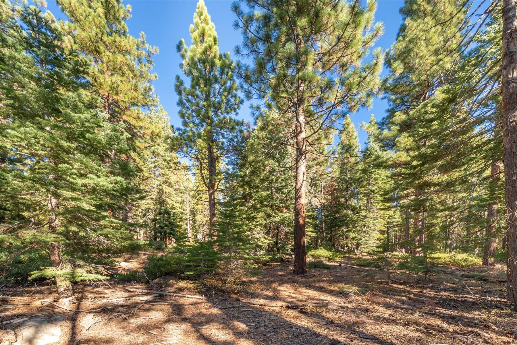3303 Polaris Road