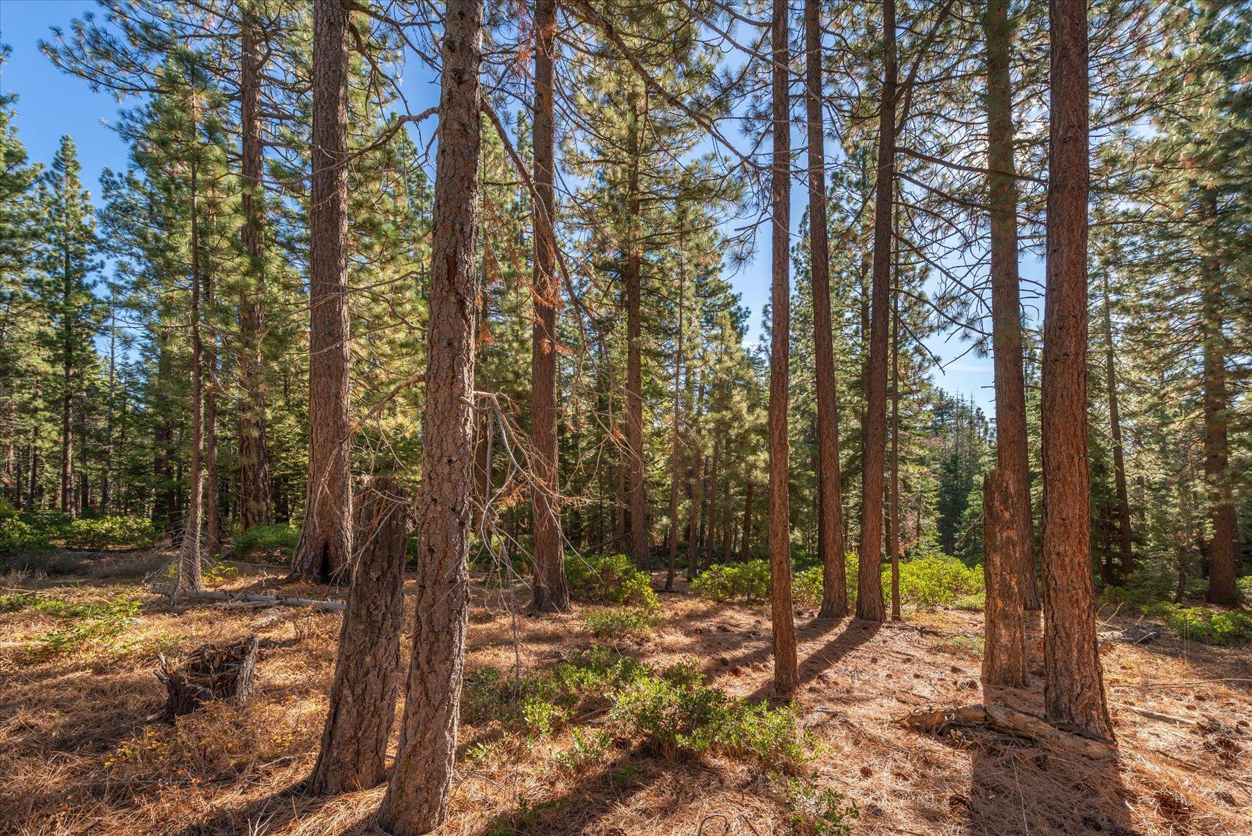 3303 Polaris Road