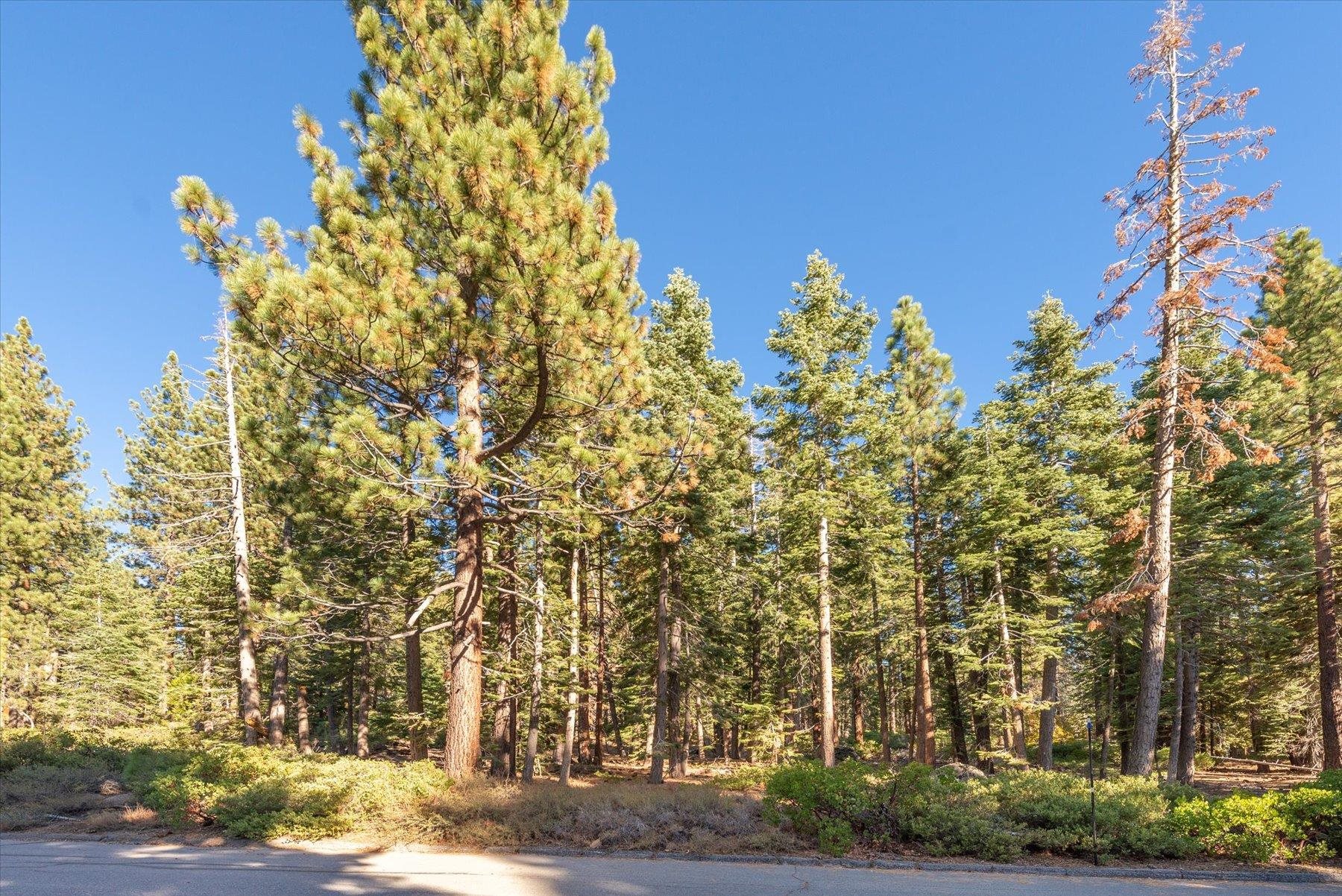 3303 Polaris Road