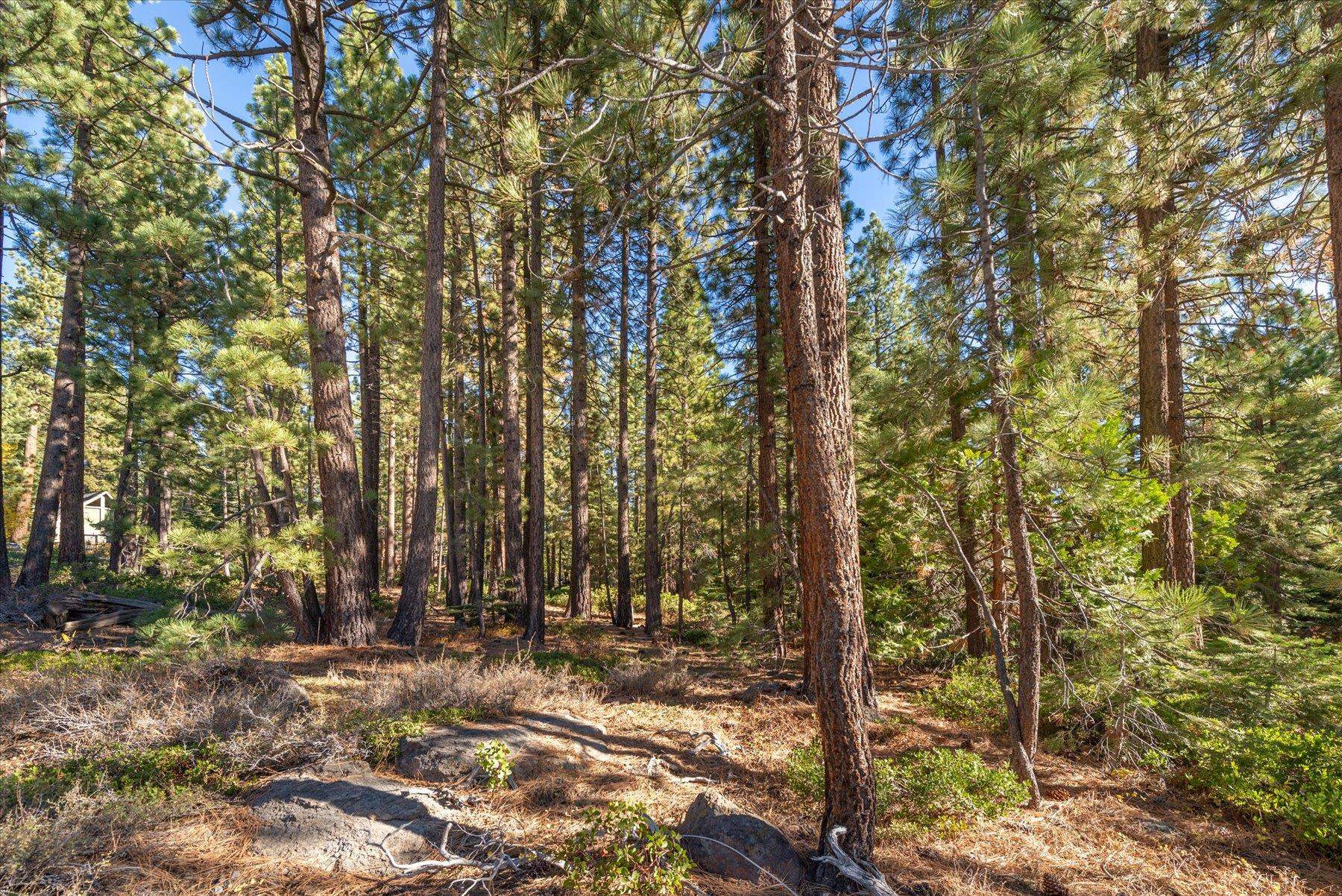 3303 Polaris Road