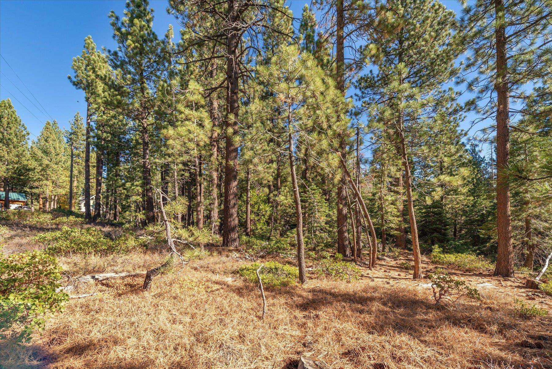 3303 Polaris Road