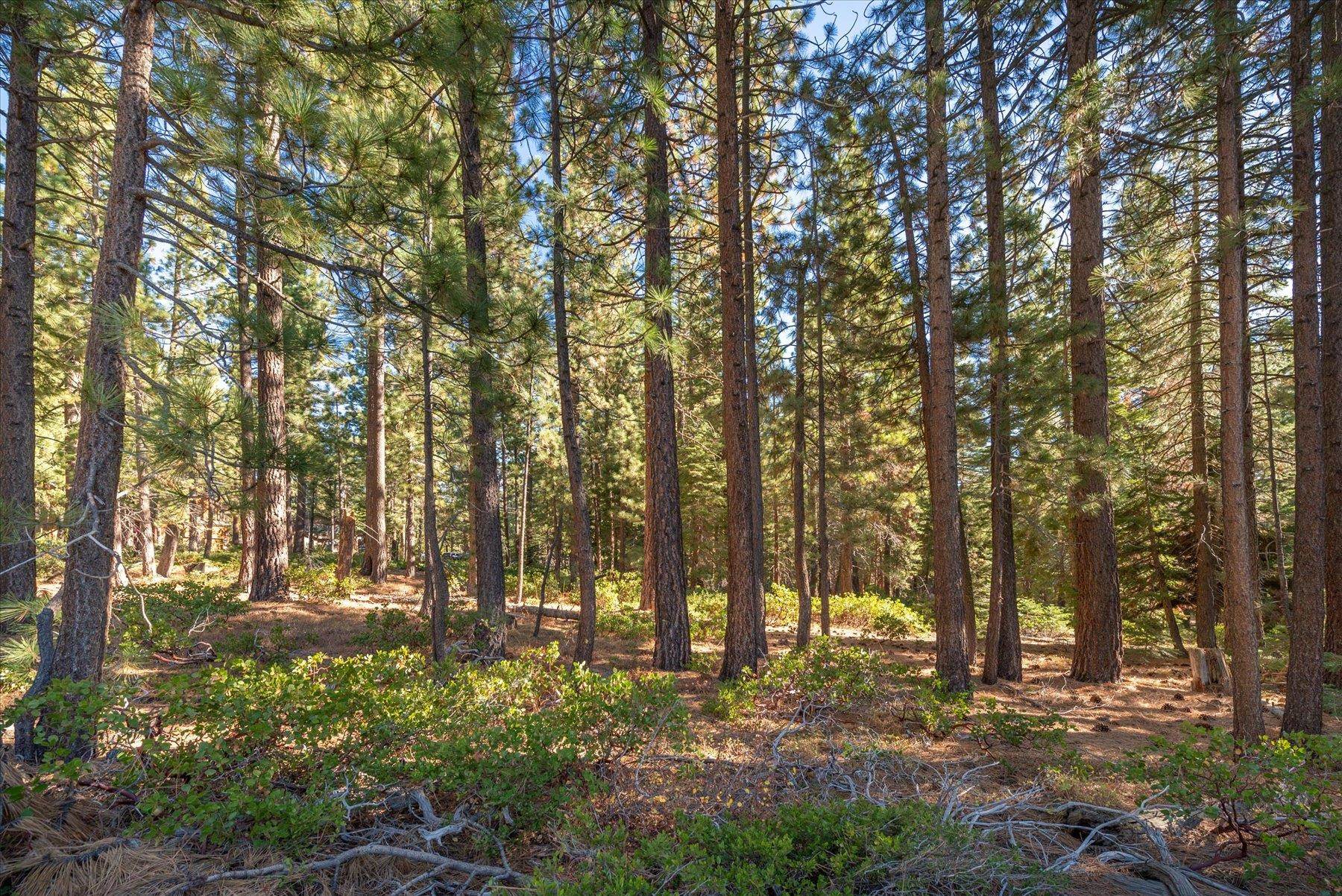 3303 Polaris Road