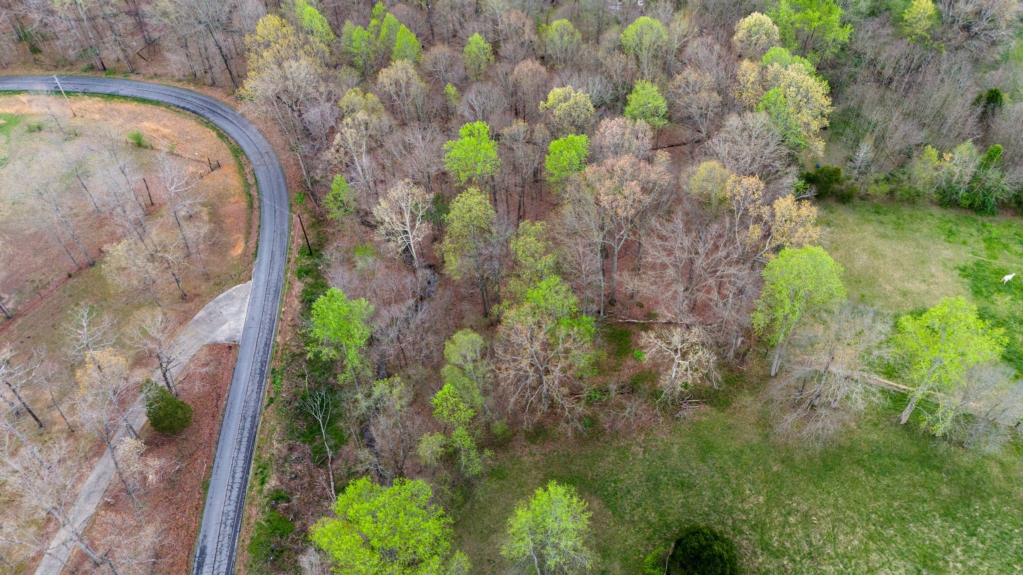 0 Town Branch Road