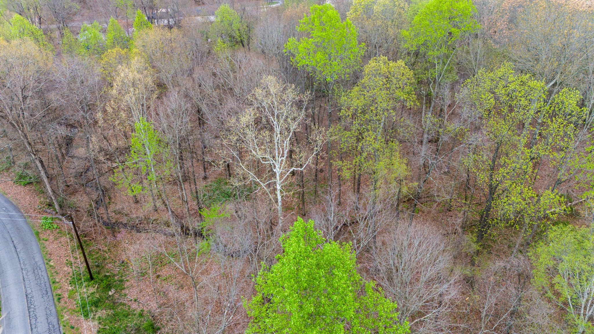 0 Town Branch Road