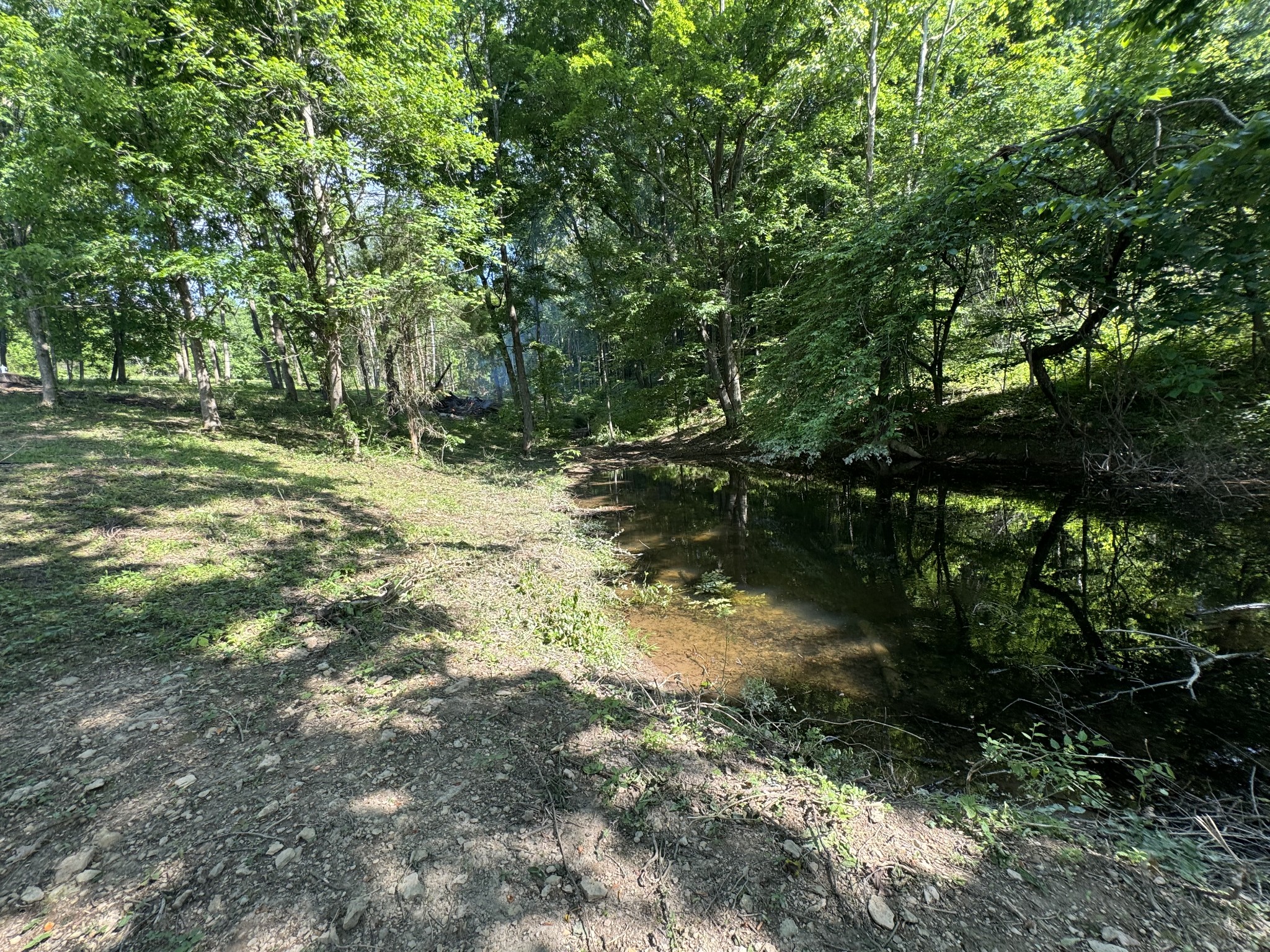 1564 Rabe Coats Rd