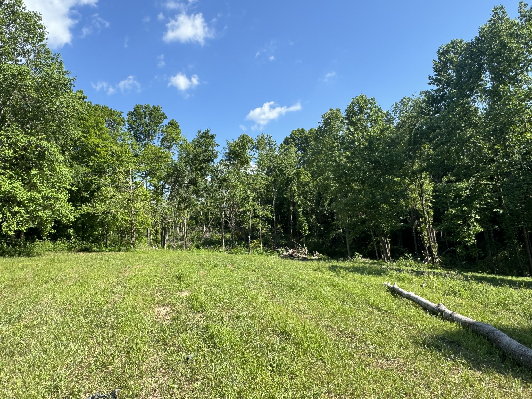 1564 Rabe Coats Rd