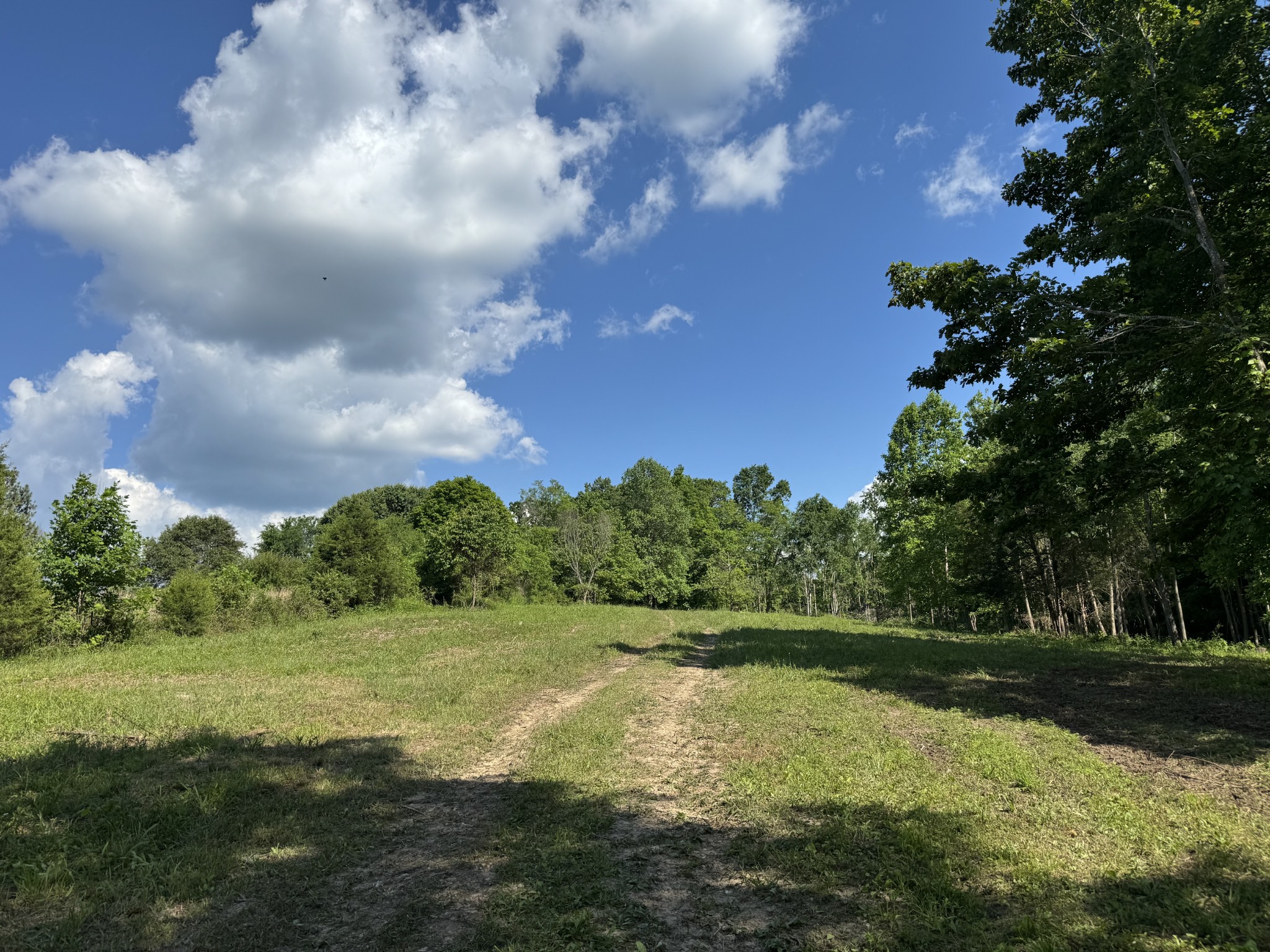 1564 Rabe Coats Rd