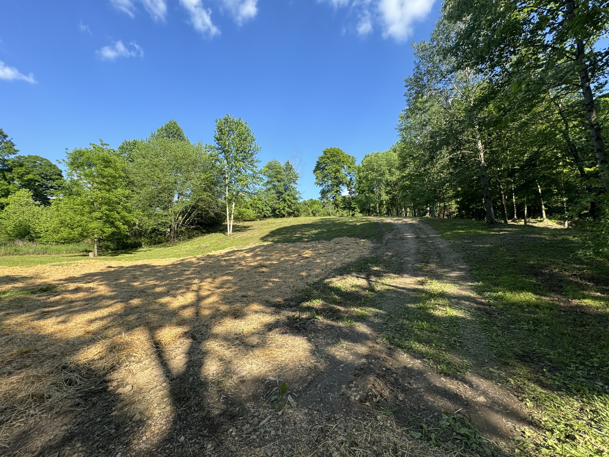 1564 Rabe Coats Rd