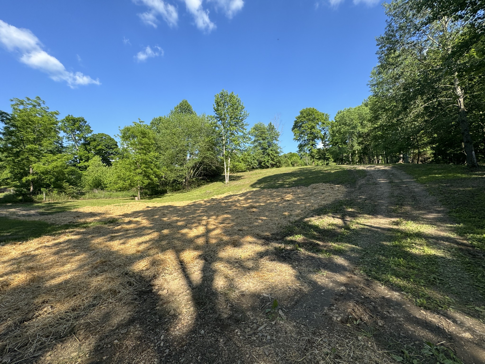 1564 Rabe Coats Rd
