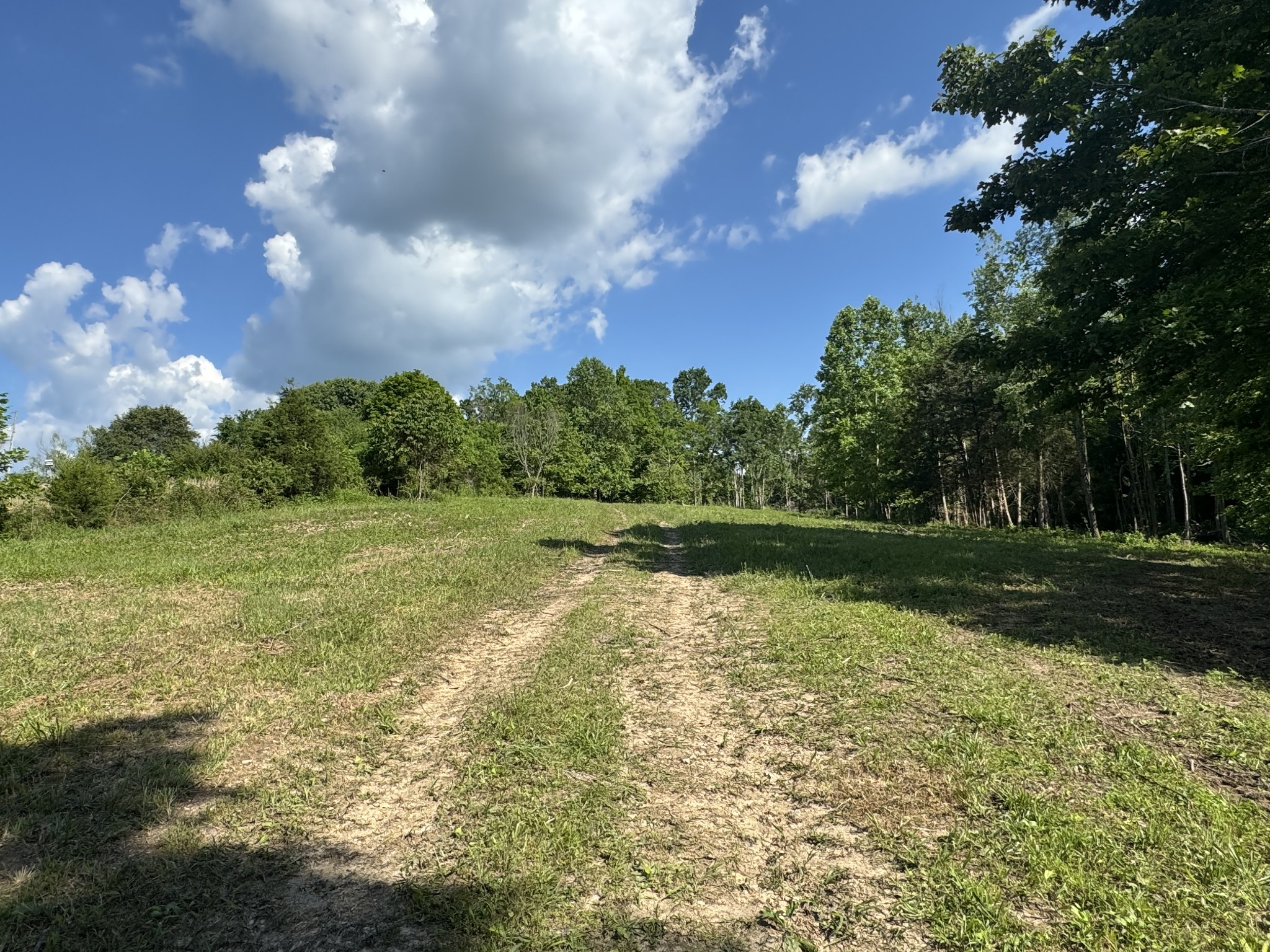 1564 Rabe Coats Rd
