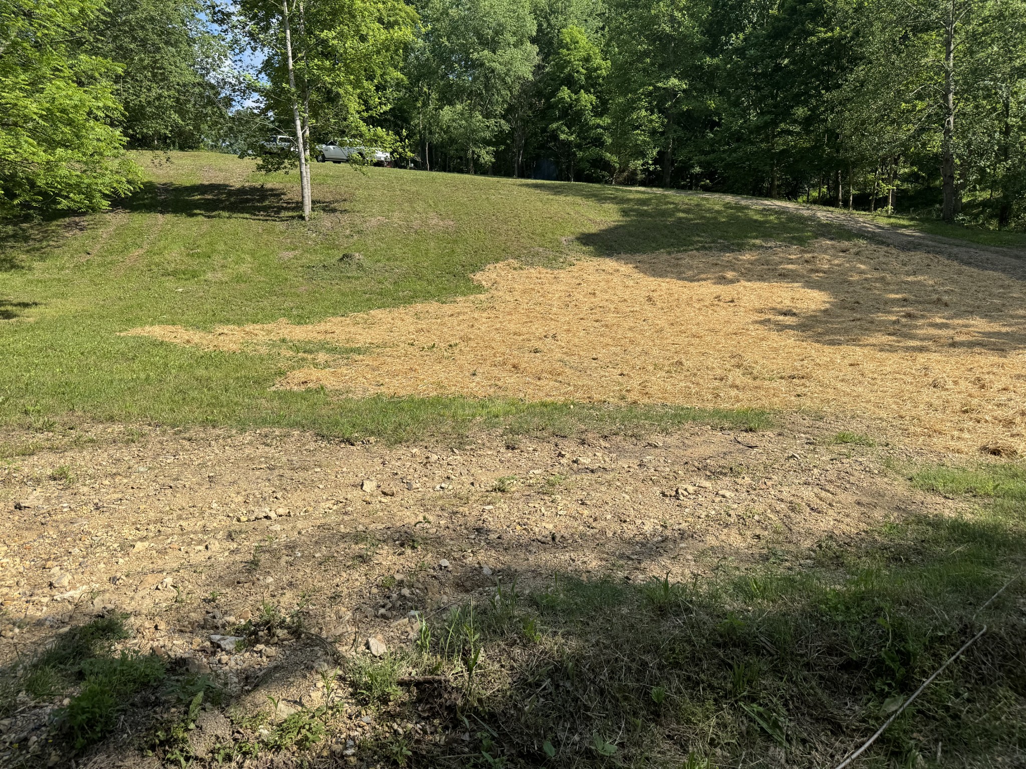 1564 Rabe Coats Rd