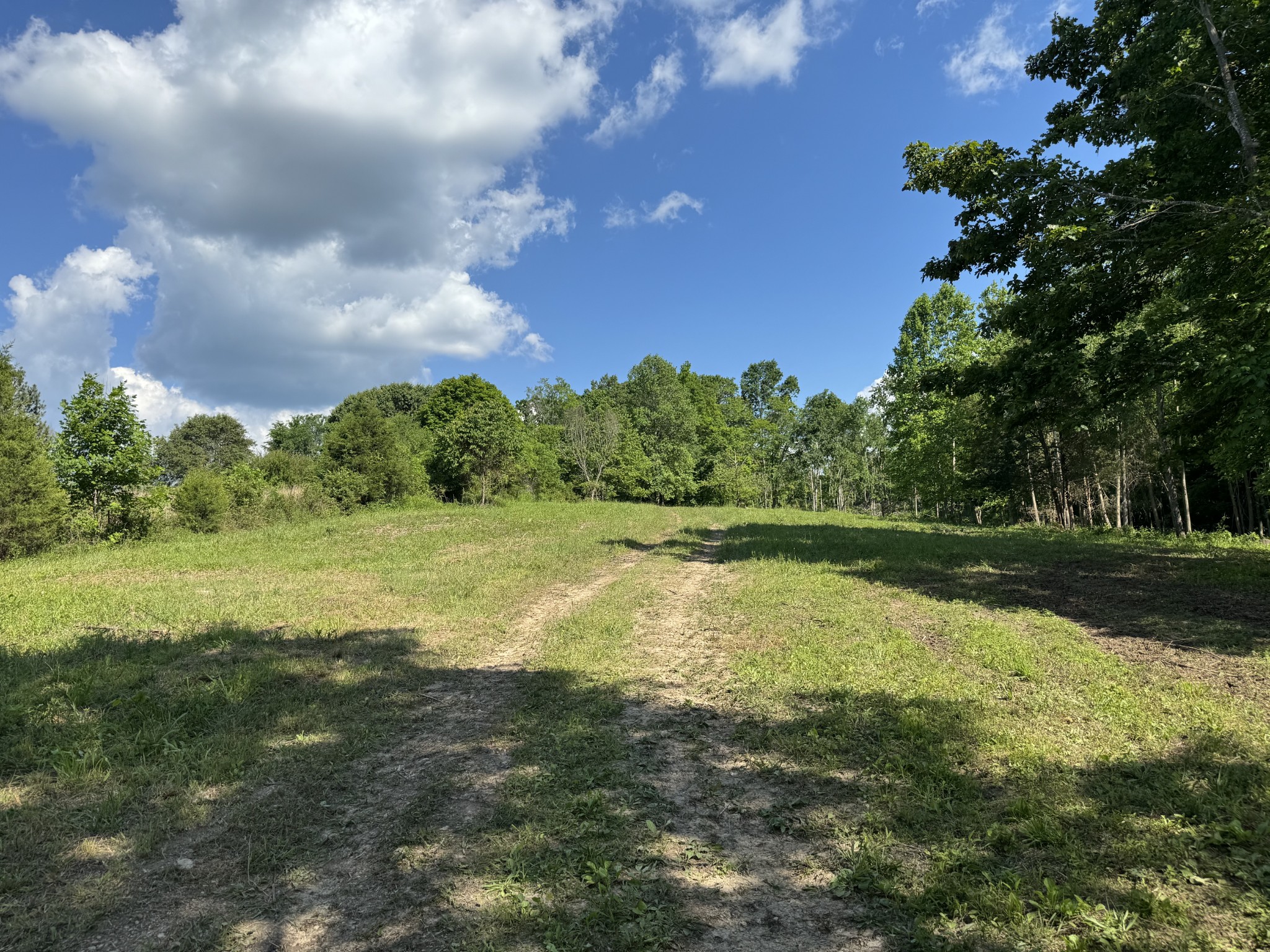 1564 Rabe Coats Rd