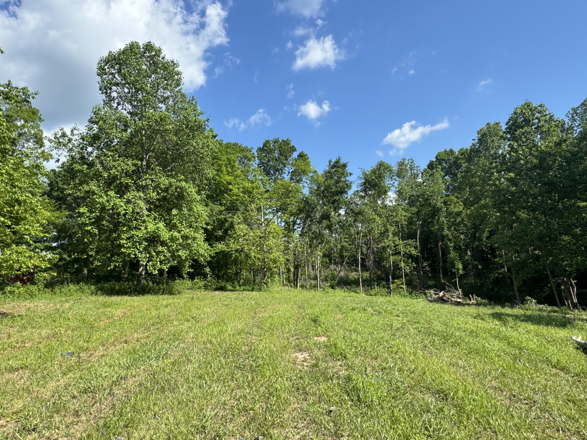 1564 Rabe Coats Rd