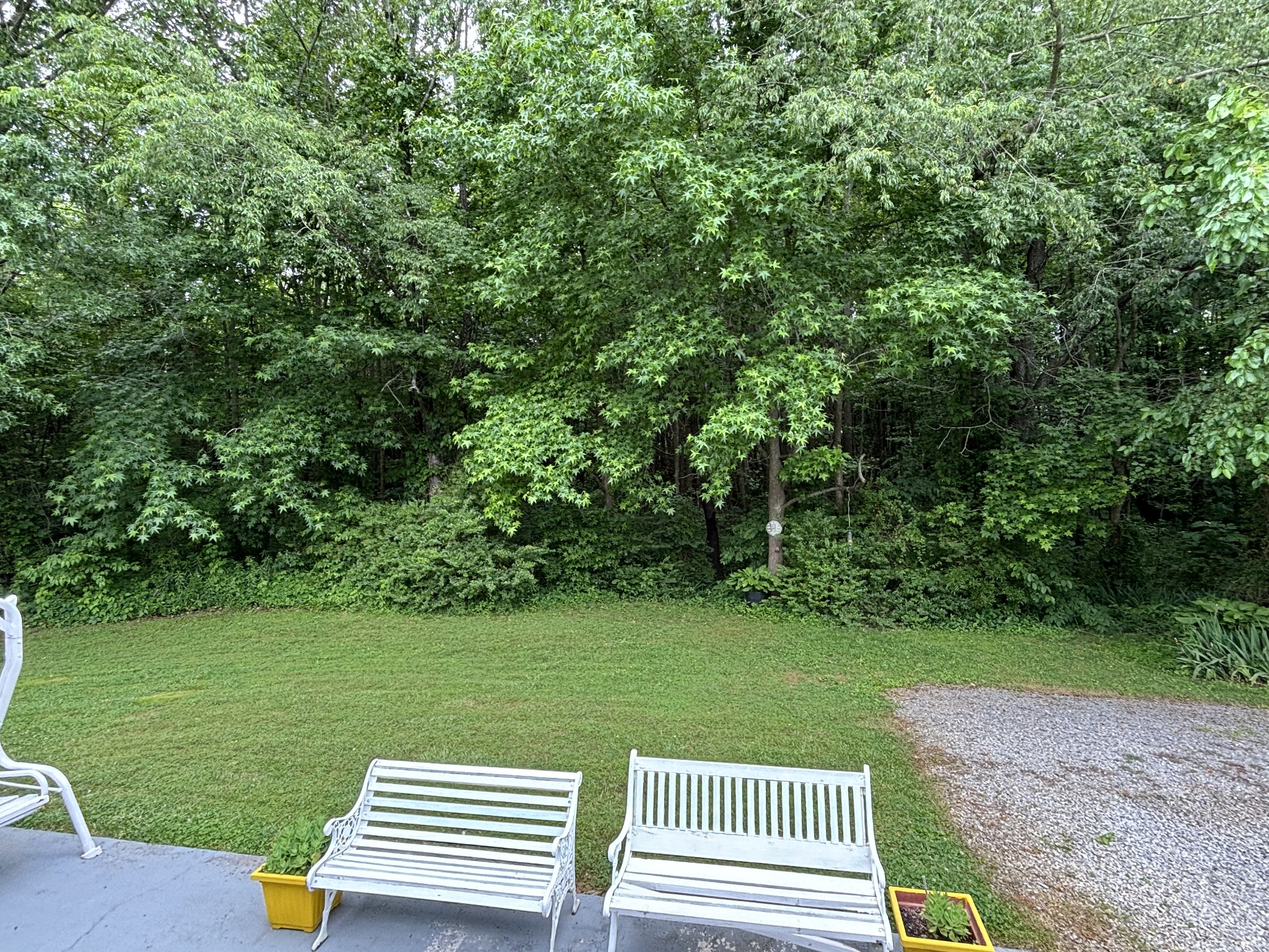 111 Goosetree Ct