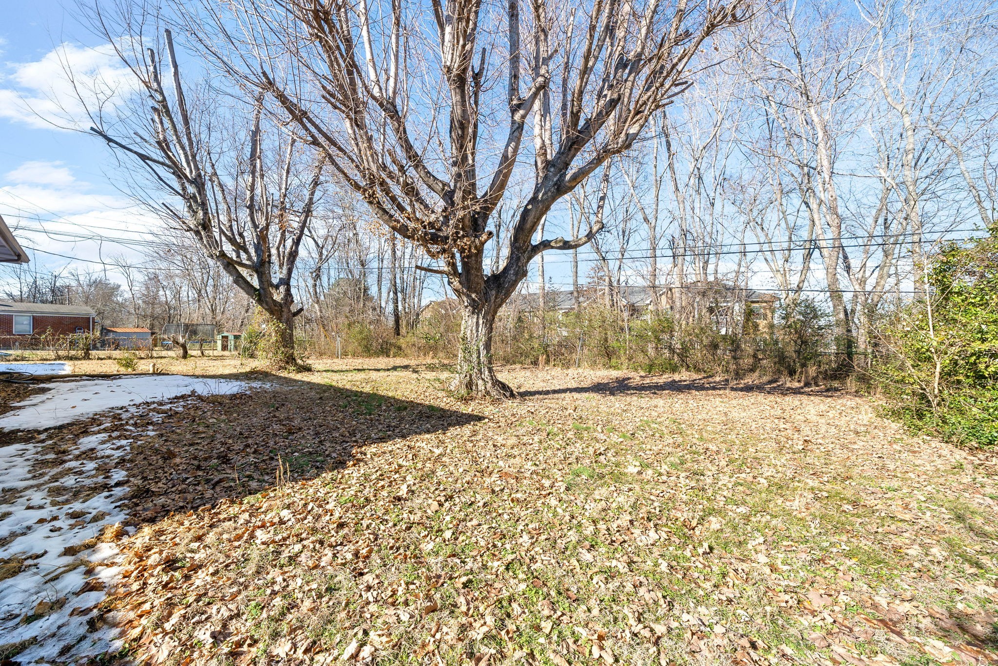 36 Lealand Dr