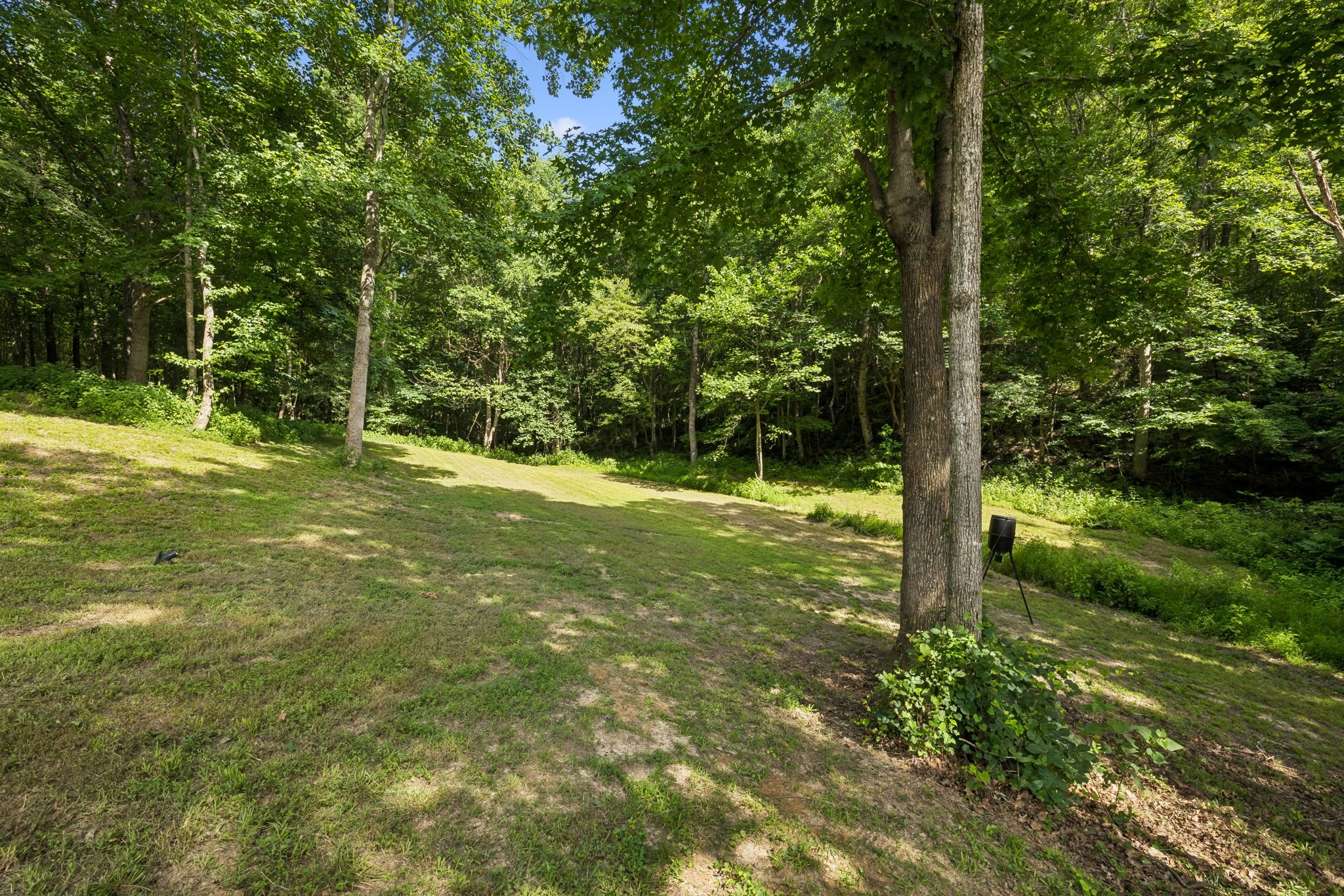 906 Riverwood Dr