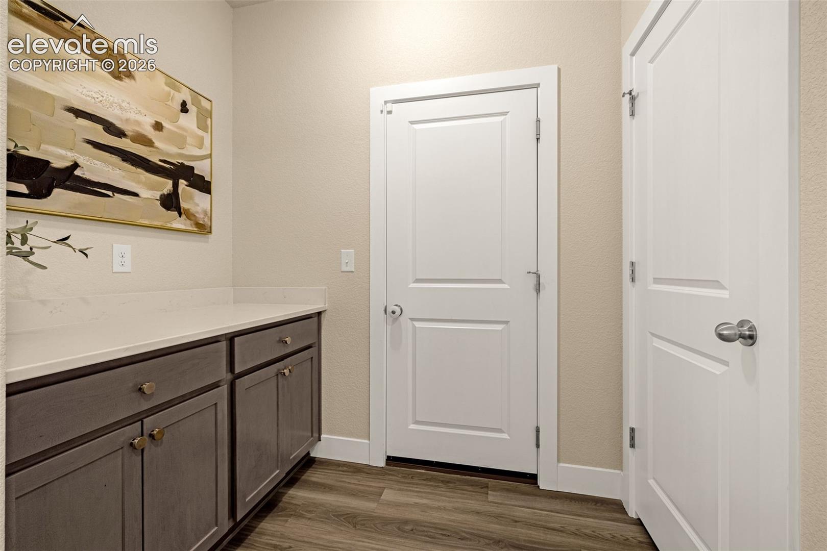 Built-in dark cabinetry and pale countertop beside two white paneled doors.
