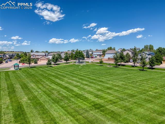 7775 Manston Drive