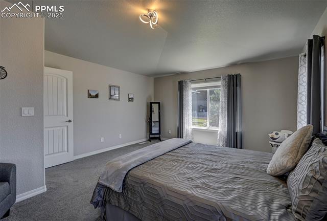 6405 Wolf Gulch Drive
