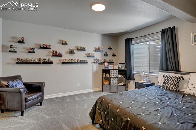 6405 Wolf Gulch Drive