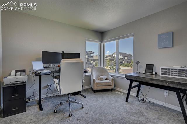 6405 Wolf Gulch Drive
