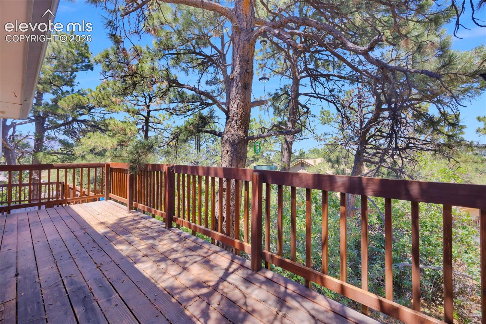 Wooden deck with reddish railings beneath mature pine trees.
