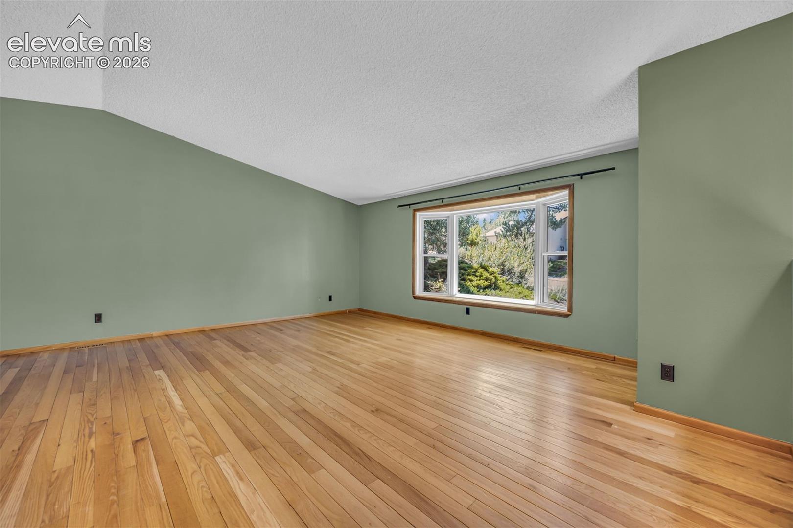 Empty room with sage-green walls, hardwood floors, and a large window.