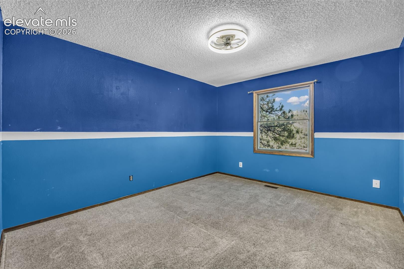 Vacant carpeted room with blue walls, a ceiling fan, and a window.