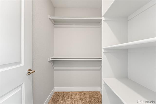 Walk-in closet with white built-in shelves and hanging rods, tan carpet, and light gray walls.