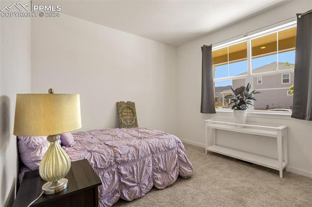 16329 Alpine Sorrel Drive