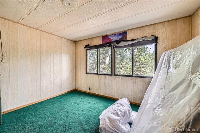 Room with beige wood paneling, green carpet, and a wide window overlooking trees; items are covered in plastic.