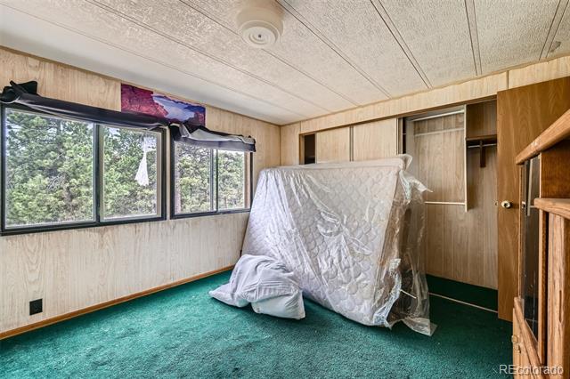 Bedroom with green carpet, tree-facing windows, and a mattress leaning against the wall.