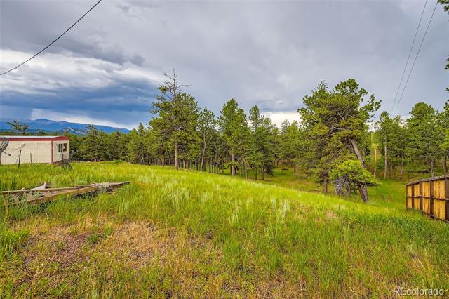 Grassy vacant lot with pine trees, a small outbuilding, and distant mountain views.
