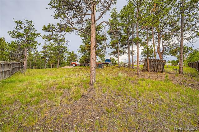 Wooded grassy lot with tall pines, a fenced edge, and two vehicles in the background.